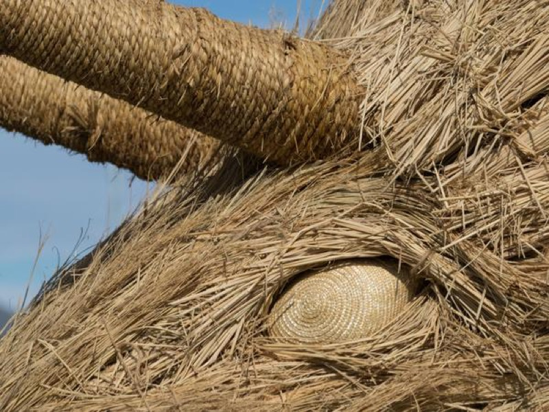 Illustration for article titled Straw Dinosaurs Appear in Japanese Fields, Try To Eat Humans